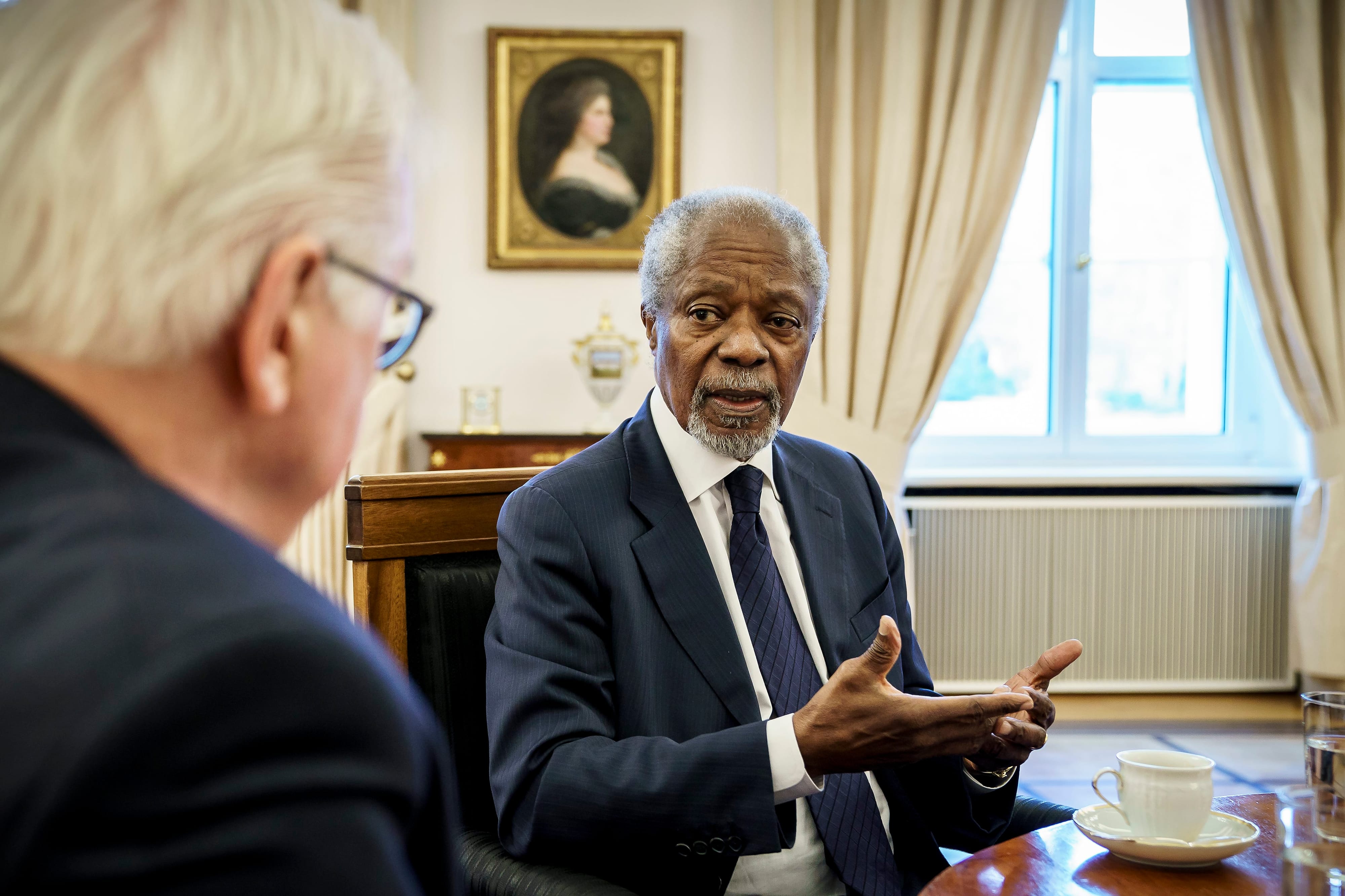 Bundespräsident Frank-Walter Steinmeier trifft Kofi Annan zu einem Gespräch